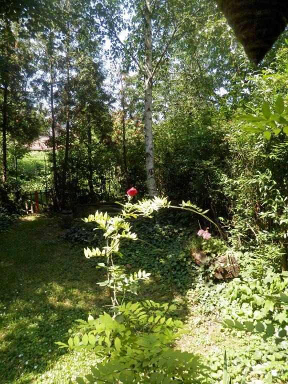 Отель Apartman Napsugar Vendeghaz Эгер Экстерьер фото